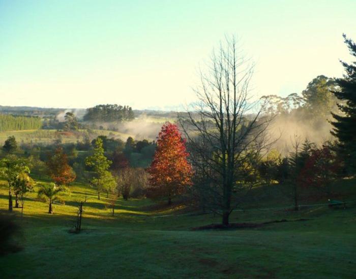 Puketotara Lodge Kerikeri Dış mekan fotoğraf