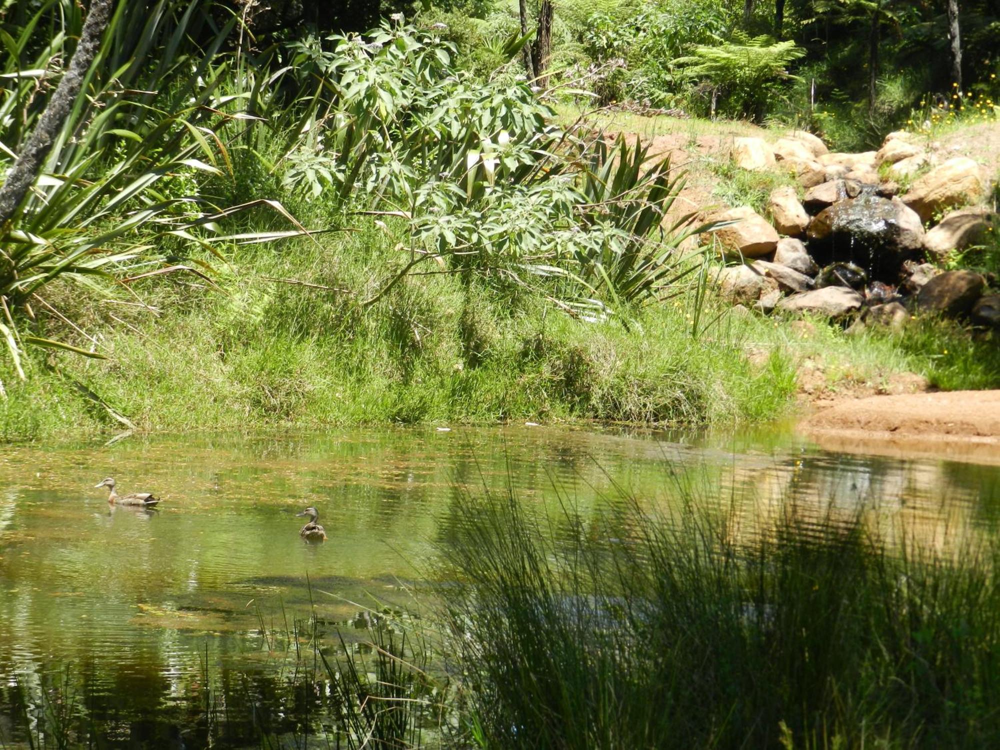 Puketotara Lodge Kerikeri Dış mekan fotoğraf
