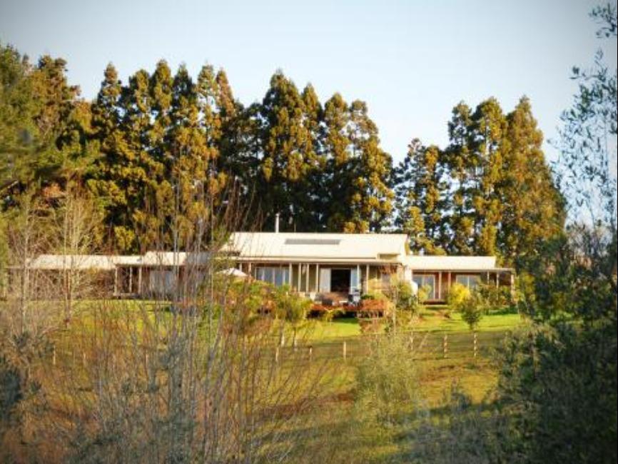 Puketotara Lodge Kerikeri Dış mekan fotoğraf