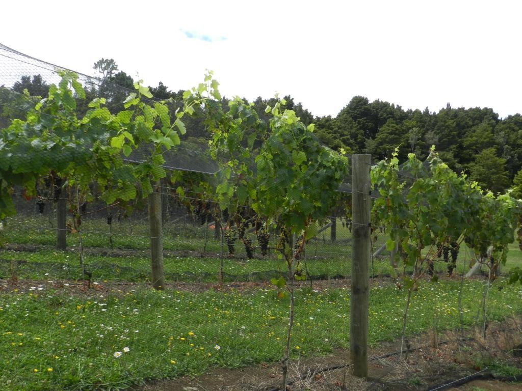 Puketotara Lodge Kerikeri Dış mekan fotoğraf